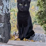αγροτικό σπίτι Agrikia με θέα στο βουνό πάρκινγκ και δωρεάν Wifi *