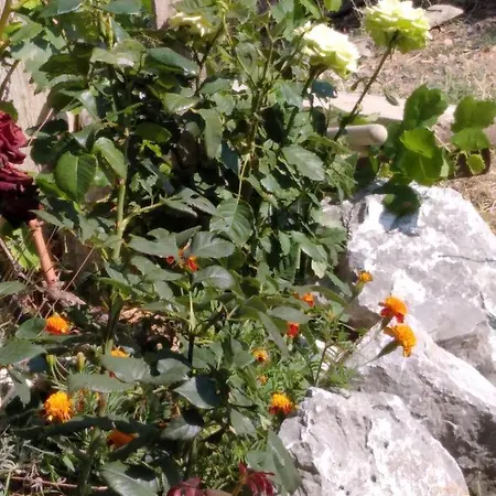 αγροτικό σπίτι Agrikia Holiday home *