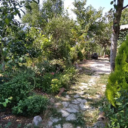 αγροτικό σπίτι Agrikia Holiday home Arachova