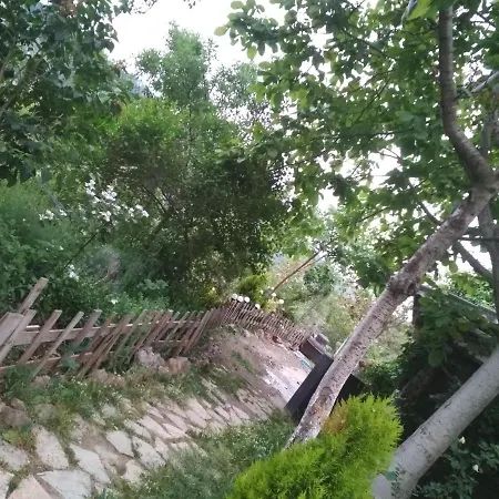 Holiday home αγροτικό σπίτι Agrikia Arachova