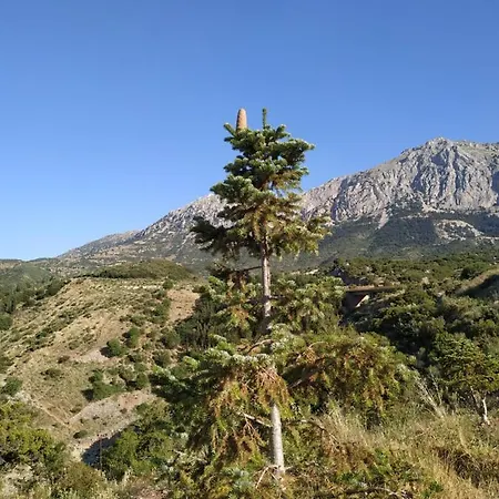 αγροτικό σπίτι Agrikia
