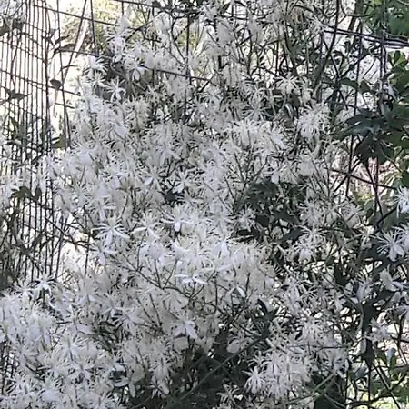αγροτικό σπίτι Agrikia * Arachova