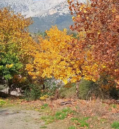 Holiday home αγροτικό σπίτι Agrikia *