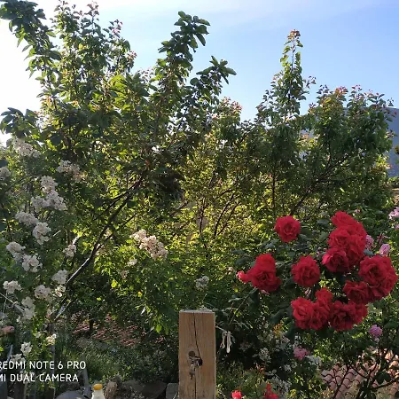 αγροτικό σπίτι Agrikia Holiday home *