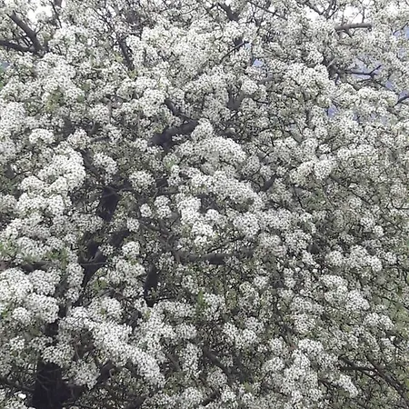 αγροτικό σπίτι Agrikia Casa vacanze *