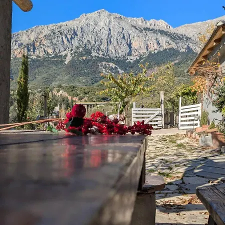 別荘 αγροτικό σπίτι Agrikia με θέα στο βουνό πάρκινγκ και δωρεάν Wifi アラコバ