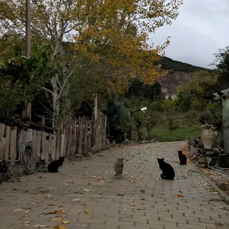 αγροτικό σπίτι Agrikia με θέα στο βουνό πάρκινγκ και δωρεάν Wifi 別荘 アラコバ